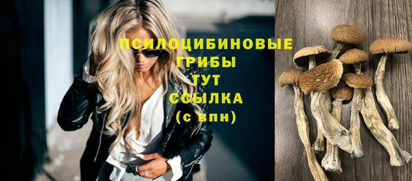 гидропоника Нязепетровск